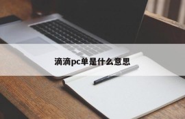 What does Didi PC single mean?